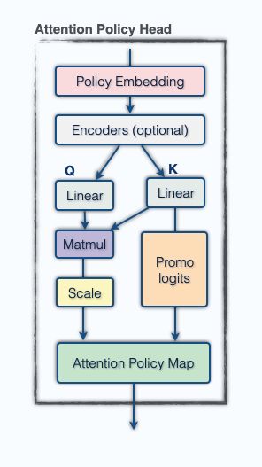 policy
